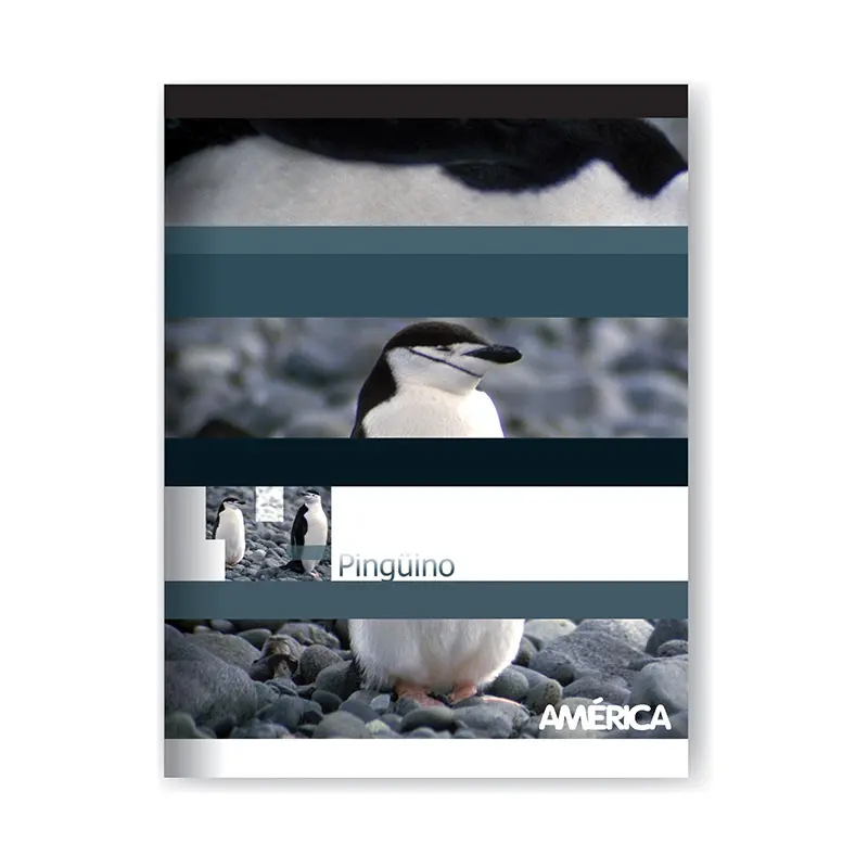Cuaderno América tapa flexible, 16x21cm. 48 hojas rayadas