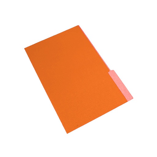 [NEPACOINTNAR] Carpeta Interior Nepaco naranja, caja de 100 unidades